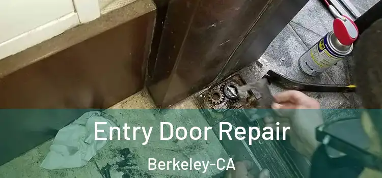 Entry Door Repair Berkeley-CA